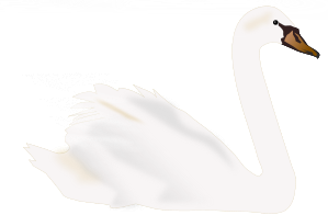 riverside beauty swan logo